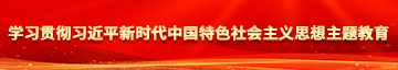 日本肥妇bbw学习贯彻习近平新时代中国特色社会主义思想主题教育